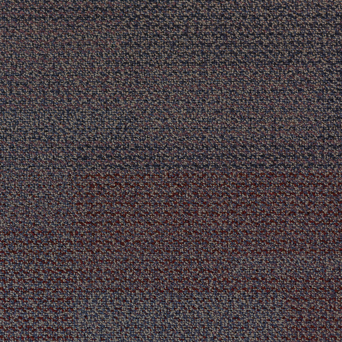 366481